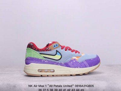 nk Air Max 1 ”Aii Petals United“ 复古气垫跑鞋 鞋型清洁度品控完美 正确鞋型 回弹pu模嵌入开窗气垫装置 货号：Fq0256-1