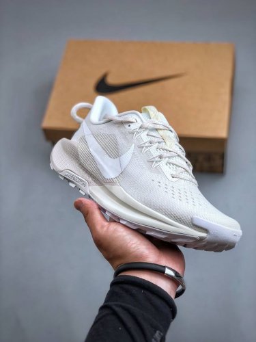 nike Reactx Pegasus Trail 5 Summit White Sail 飞马越野5代系列低帮户外轻量休闲运动越野慢跑鞋“峰顶白帆白”Dv38