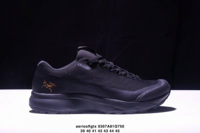 230 公司级K L始祖鸟Norvanld3Gore-Tex 覆盖防水男子越野跑鞋 官方同步上架适合技术路线单日徒步穿着 Aeriosflgtx鞋受到长途野外跑