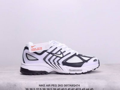 公司级耐克nike Air Peg 2K5 复古休闲运动鞋 货号：Fq3571-003 尺码：36 36.5 37.5 38 38.5 39 40 40.5 4